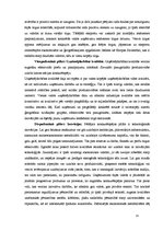 Referāts 'Investīciju ekonomiskā būtība', 23.