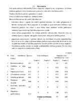 Referāts 'Bērnu attīstības klubiņa atvēršana Ogres pilsētā', 10.