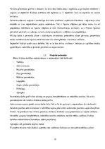 Referāts 'Bērnu attīstības klubiņa atvēršana Ogres pilsētā', 12.