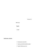 Prakses atskaite 'Konspekti ar pašanalīzi mājturības un tehnoloģiju praksei', 8.