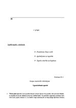 Prakses atskaite 'Konspekti ar pašanalīzi mājturības un tehnoloģiju praksei', 9.