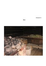 Prakses atskaite 'Konspekti ar pašanalīzi mājturības un tehnoloģiju praksei', 57.