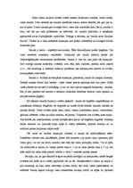 Eseja 'Naudas funkcijas', 2.