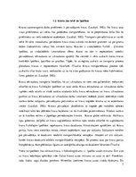 Referāts 'Latvijas mazo ostu salīdzinājums', 7.