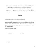 Referāts 'Latvijas mazo ostu salīdzinājums', 23.