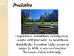 Prezentācija 'Amerikas Savienotās Valstis', 8.