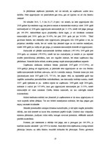 Diplomdarbs 'Finanšu analīze', 19.