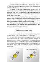 Diplomdarbs 'Finanšu analīze', 23.