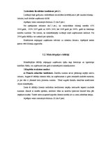 Diplomdarbs 'Finanšu analīze', 31.