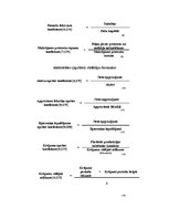 Diplomdarbs 'Finanšu analīze', 48.