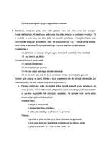 Referāts 'Māsu darba funkcijas', 6.