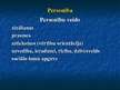 Prezentācija 'Personības attīstības posmi un to raksturojums. Krīzes', 2.