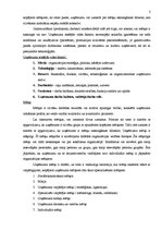 Diplomdarbs 'SIA "Hilti Services Limited" darbības analīze un pilnveides iespējas', 3.