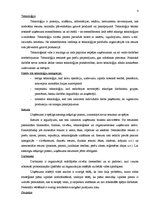 Diplomdarbs 'SIA "Hilti Services Limited" darbības analīze un pilnveides iespējas', 4.