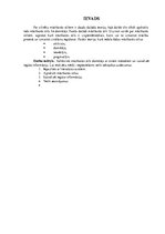 Referāts 'Mācīšanās stils. Domātājs', 2.