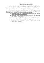 Referāts 'Mācīšanās stils. Domātājs', 3.