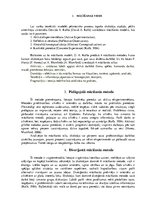 Referāts 'Mācīšanās stils. Domātājs', 4.