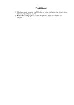 Referāts 'Mācīšanās stils. Domātājs', 7.