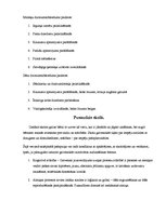 Konspekts 'Zēnu un meiteņu attīstības atšķirības', 4.