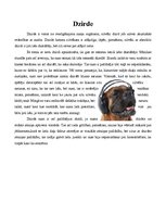 Konspekts 'Maņu orgāni', 1.