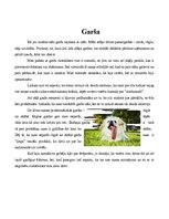 Konspekts 'Maņu orgāni', 4.