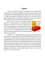 Konspekts 'Maņu orgāni', 5.