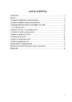 Prakses atskaite 'Prakses atskaite finanšu analīzē ražošanas uzņēmumā', 3.