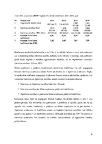 Prakses atskaite 'Prakses atskaite finanšu analīzē ražošanas uzņēmumā', 16.