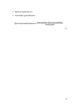 Prakses atskaite 'Prakses atskaite finanšu analīzē ražošanas uzņēmumā', 24.