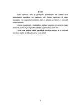 Referāts 'Motivācijas sistēmas raksturojums privātā un valsts struktūrā', 3.