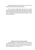 Referāts 'Motivācijas sistēmas raksturojums privātā un valsts struktūrā', 6.