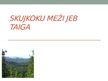 Prezentācija 'Skujkoku meži jeb taiga', 1.