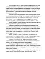 Referāts 'Psiholoģiskie procesi organizācijā', 1.