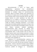 Prakses atskaite 'Vairumtirdzniecības uzņēmuma darbības pilnveidošana', 5.