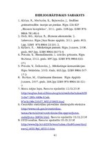 Prakses atskaite 'Vairumtirdzniecības uzņēmuma darbības pilnveidošana', 41.