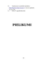 Prakses atskaite 'Vairumtirdzniecības uzņēmuma darbības pilnveidošana', 42.