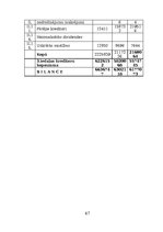 Prakses atskaite 'Vairumtirdzniecības uzņēmuma darbības pilnveidošana', 47.