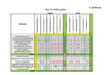 Prakses atskaite 'Vairumtirdzniecības uzņēmuma darbības pilnveidošana', 49.