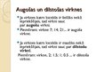 Prezentācija 'Virknes', 7.