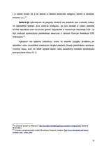 Referāts 'Kriminālprocesuālie piespiedu līdzekļi', 18.