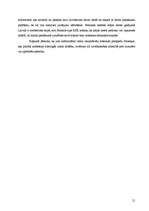 Referāts 'Kriminālprocesuālie piespiedu līdzekļi', 21.