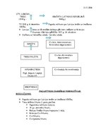 Konspekts 'Latvijas tiesību vēsture. Tiesu iekārta Latvijas Repulikā', 1.