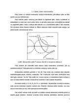 Referāts 'Materiālzinības', 3.