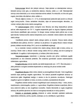 Referāts 'Materiālzinības', 29.