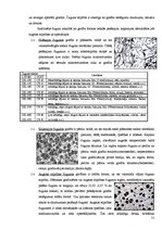 Referāts 'Materiālzinības', 31.