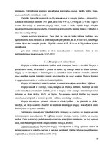 Referāts 'Materiālzinības', 38.