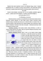 Referāts 'Materiālzinības', 49.