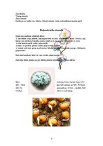 Referāts 'Izglītojoša programma ģimenei viena mācību gada laikā sākumskolas klasei', 4.