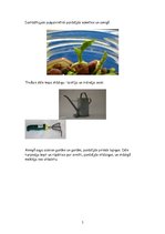 Referāts 'Izglītojoša programma ģimenei viena mācību gada laikā sākumskolas klasei', 5.