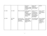 Prakses atskaite 'Pacienta aprūpes vēsture ķirurģijā', 18.
